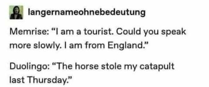 Text exchange featuring a hilariously threatening Duolingo meme with a humorous language misunderstanding.