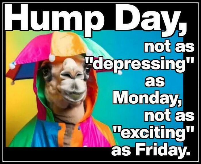 Camel in a colorful outfit with "Hump Day" text, conveying Wednesday's mood between Monday and Friday.