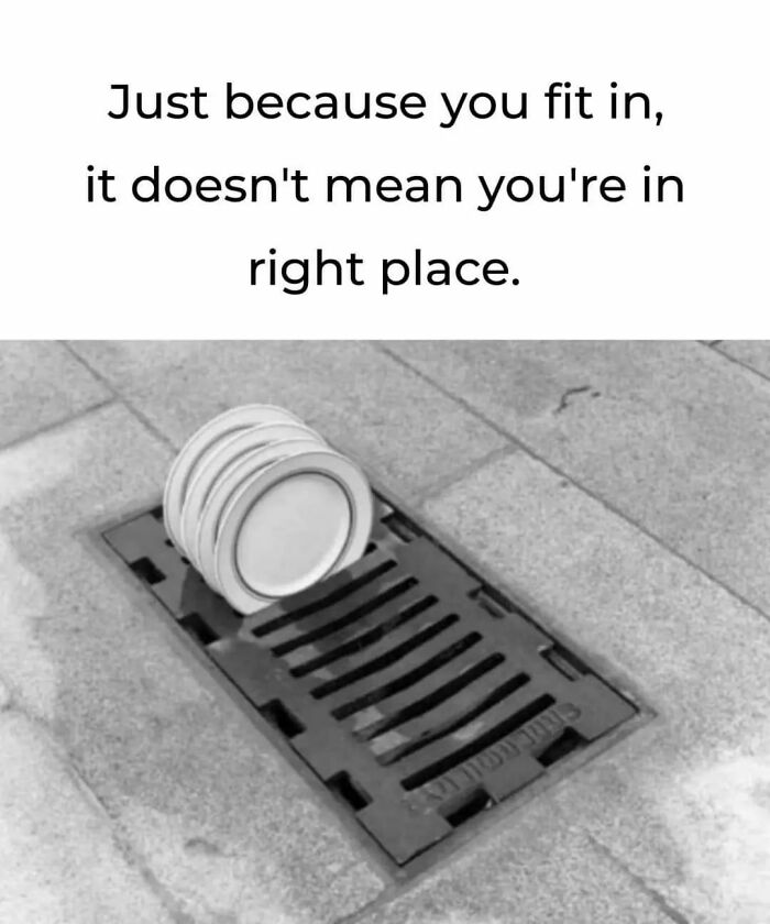 Stack of plates fitting into a street drain with funny caption, illustrating humor about fitting in the right place.