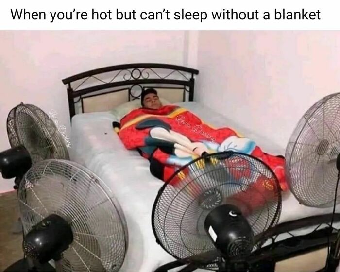 Man wrapped in a colorful blanket on bed, surrounded by fans; a funny meme for a good laugh.