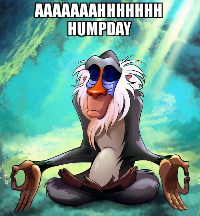 Rafiki meditating, serene expression, mystical background, text reads "AAAAAAHHHHHHH HUMP DAY," capturing Wednesday vibes.