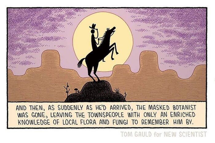 “I Love Making People Laugh”: New Humorous Comics By Tom Gauld