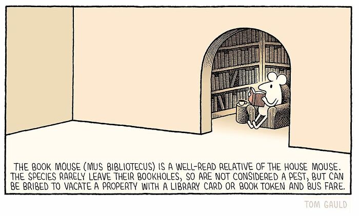 “I Love Making People Laugh”: New Humorous Comics By Tom Gauld