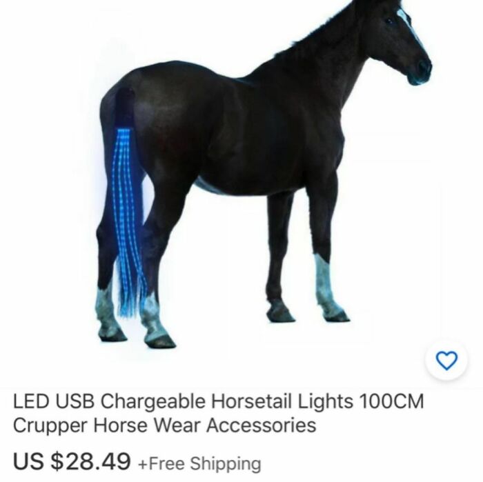 Ebay-Weird-Listings-Ebaybae