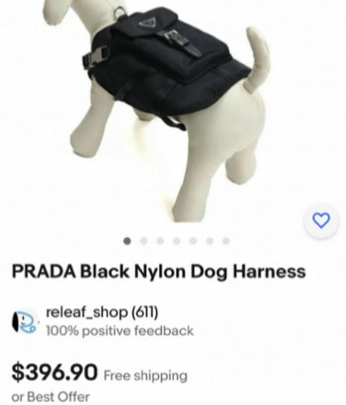 Ebay-Weird-Listings-Ebaybae