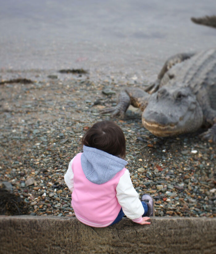 Mi suegra aprecia todas las fotos que le envío a su marco de fotos digital. Me dice que revisa si hay fotos nuevas todas las mañanas. Acabo de agregar una nueva