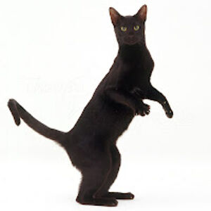 natalieseaton avatar