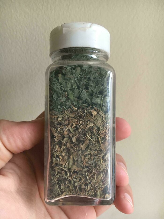 The Color Difference When I Refilled This Grocery-Store Basil With Basil From My Garden