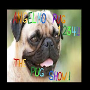 angelkopug1234 avatar