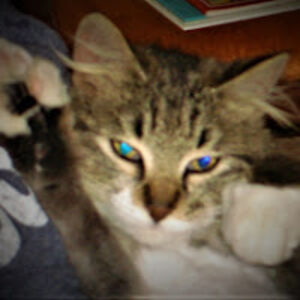 tammywalker_1 avatar