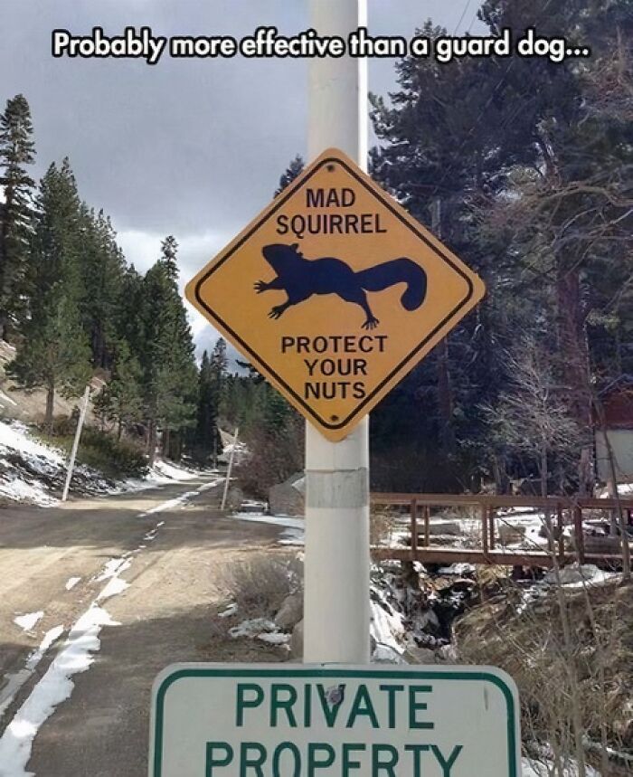 Funny-Signs
