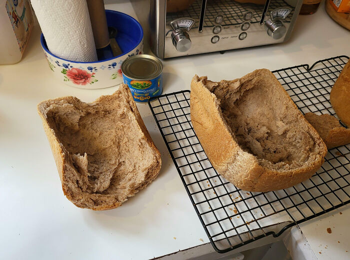 My Brothers Ate Everything Except The Crust