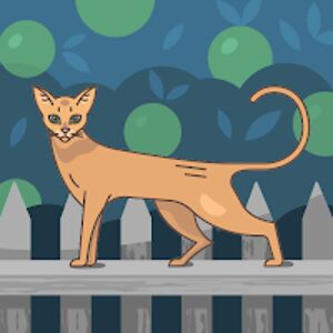 kpatterson avatar