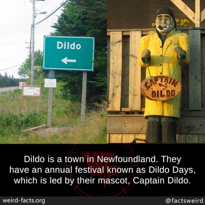 D***o town sign and Captain D***o statue in Newfoundland, showcasing a weird fact about local traditions.