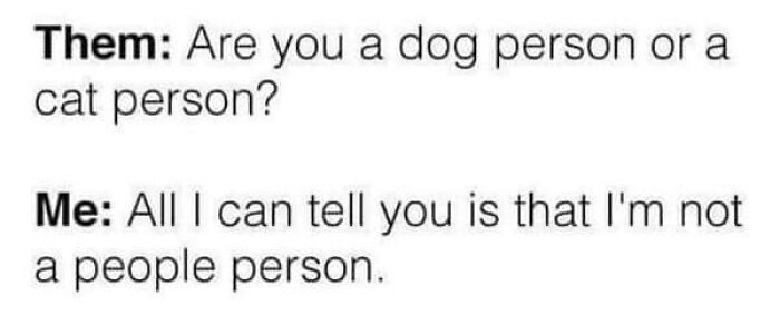 Meme about being neither a dog nor cat person, but not a people person. Painfully relatable humor.