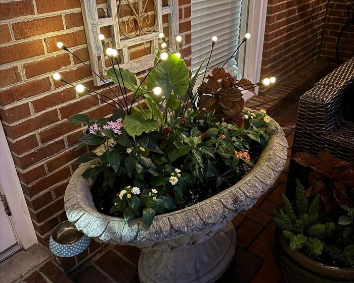 Harness The Power Of The Sun To Create A Magical Ambiance With Solar Garden Lights