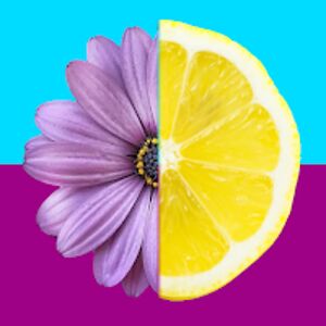 paintedlemon avatar