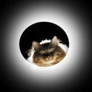 atheabeau1976 avatar