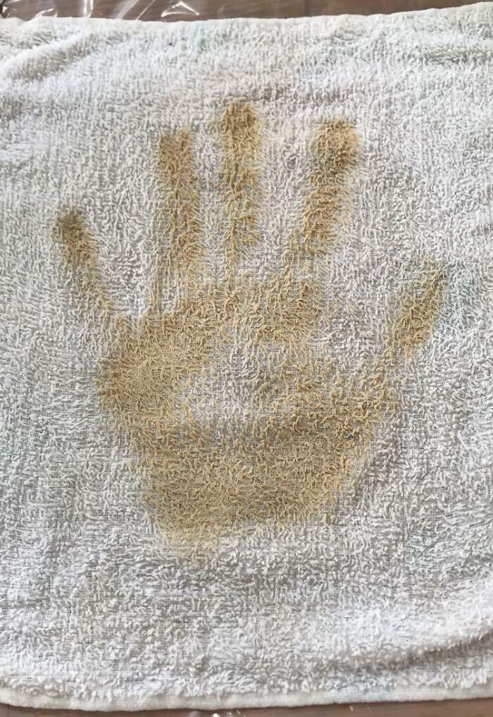 My Handprint On A Rag After Cleaning A Ceiling Stained With Cigarette Smoke