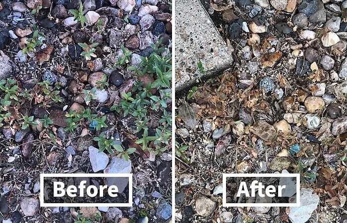 Before and after image of backyard mulch area, showing clear improvement as part of spring must-haves.