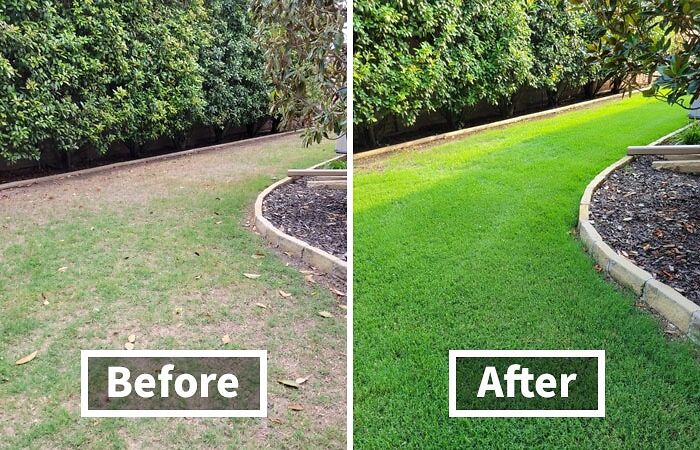 Before and after comparison of a backyard transformation with lush green lawn improvements.