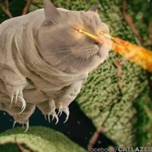 mary_ilovebugs_elliott avatar