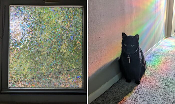  Rainbow Window Film: Transform Your Windows Into A Kaleidoscope Of Color While Maintaining Privacy
