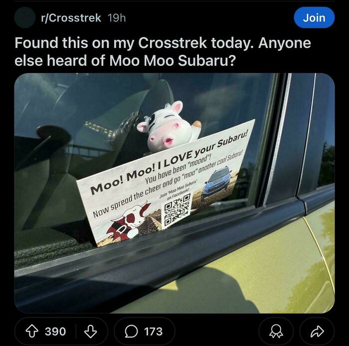 Anyone Else Really Annoyed By The Jeep Ducks And Other Copy Cats?