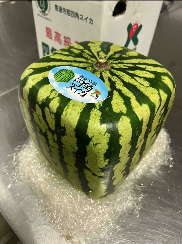 Square Shaped Watermelon Being Sold At Local Asian Grocery Store In Canada For $56