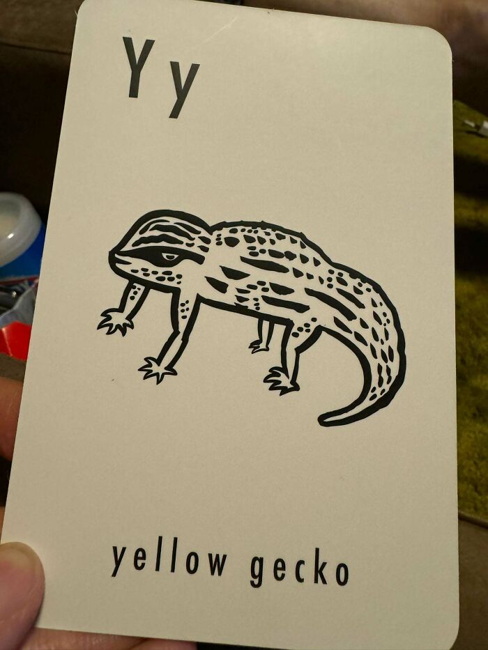 This Alphabet Flashcard Set My Son Received As His Birthday Present