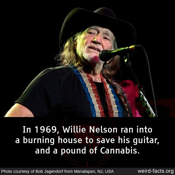 Singer performing on stage, recounting a weird fact about saving his guitar and cannabis from a fire.