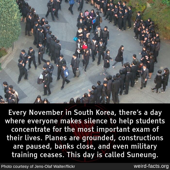Crowd of students in South Korea preparing for Suneung, a major exam day, highlighting unique cultural practices.