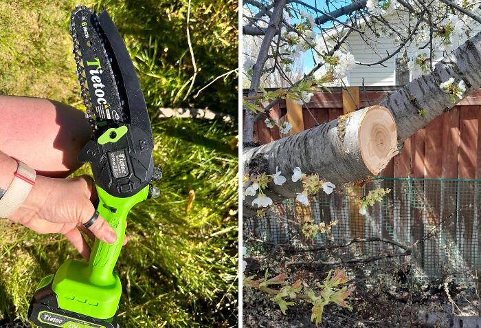  This Mini Chainsaw Is The Pocket-Sized Powerhouse That Will Make You A Lumberjack Legend (In Your Own Backyard)