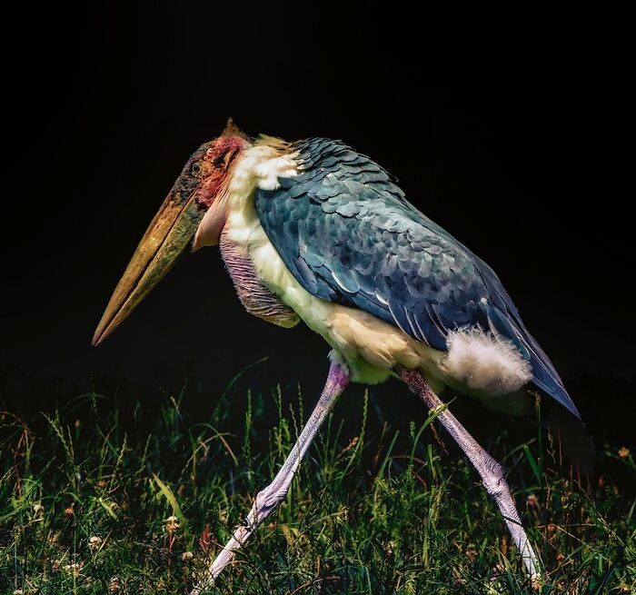 "Happy Birthday," Edgar Said To His Third Wife, And Strode Into His Study To Call His Lawyer. Why Did Wives Always Have To Turn 30? He Thought Bitterly. Luckily, The World Would Never Run Out Of 19-Year-Olds, And Edgar Would Never Run Out Of Money