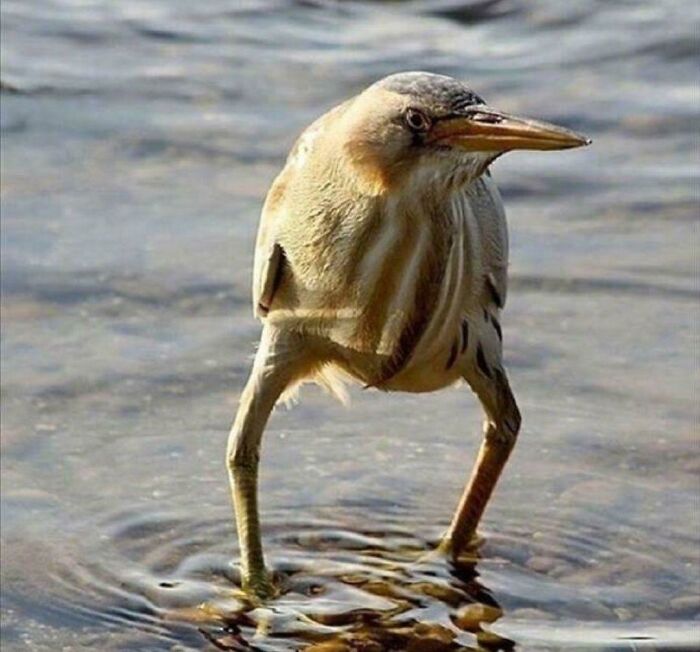 Marvin Hadn't Been In The Dating Game In 20yrs, But He Knew Suspenders Were Still In