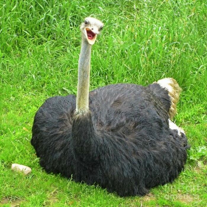 So I Says To Em, I Says - How Many Toimes I Gotta Tell Ya Roy? How Many Toimes? Ya Gatta Quit Comin Hea. It’s Gatta Stop. Ya Gambled Away Yuh Money, Ya Gambled Away Amba’s College Fund, And Ya Gambled Away My Heaht