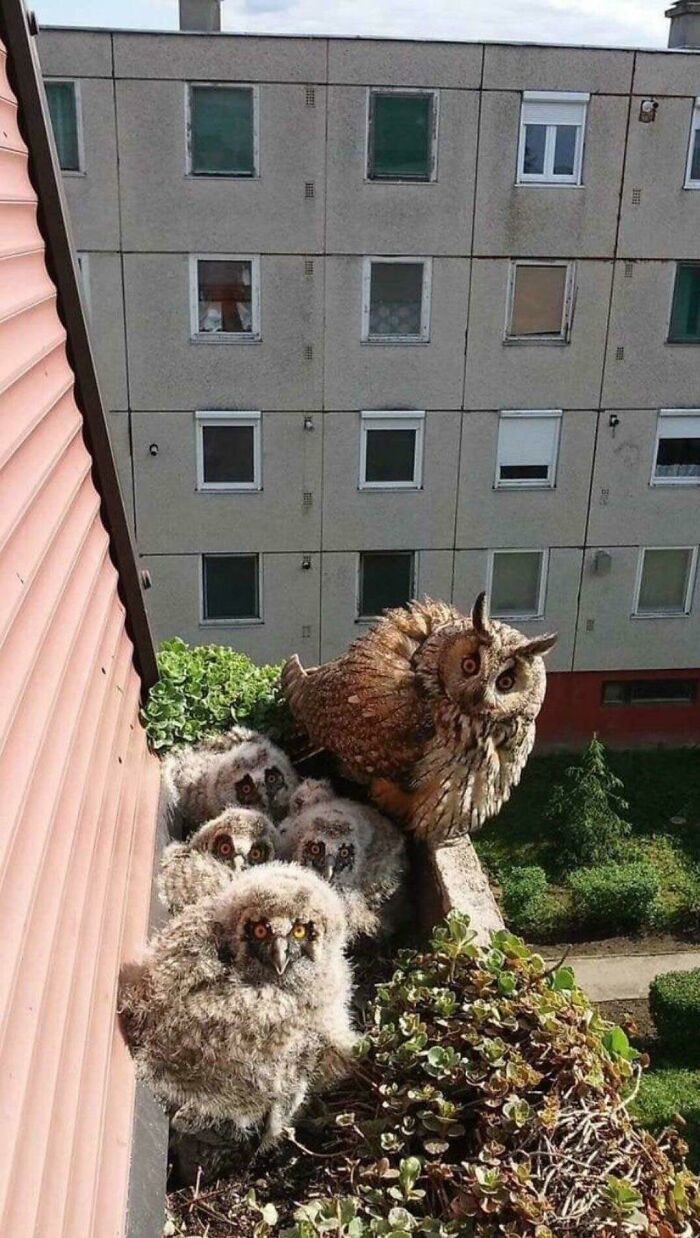 Bob Froze. The Kids Froze. Gail Snapped Their Photo Without Saying A Word. Deep Within, Bob Seethed. “Once A Month And A Week At Christmas Isn’t Enough, Gail! A Father Shouldn’t Have To Sneak Around Just To See His Children!” But He Kept Silent. She’d Only Twist His Words In Front Of The Judge