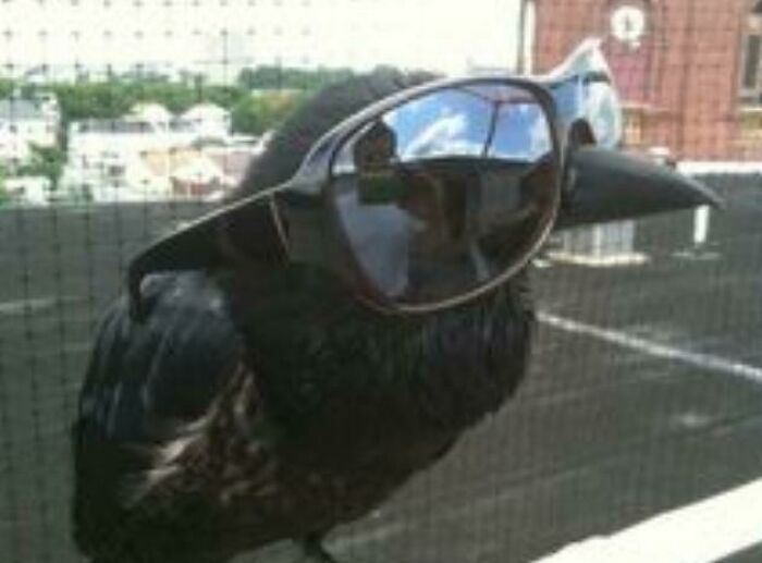 "Wyd Gorgeous? The Name's Mike. Do You Like Older Guys? Too Bad Cuz I'm 49 Years Young 😉. I Like Hiking, Ipa's, And (Roth) Ira's Hehe. Also Realized I Might Need To Explain My Intro-Wyd Means 'What (Are) You Doing' And 'Gorgeous'...well Gorgeous Just Means You 😘." *ctrl C* *ctrl V* *send* *repeat*