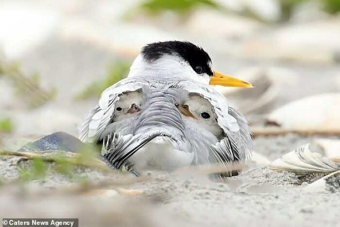 Molly Was Devastated When Vince Walked Out Of Their Lives. Money Was Tight, Working Extra Hours Was Taking Its Toll, And Things Were Never Going To Be The Same Again. But She Still Had Her Little Girls, And That Was Enough To Make It All Worthwhile