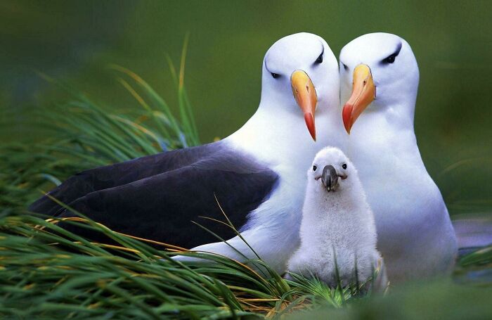 With Great Respect For Each Other, We Have Made The Difficult Decision To Uncouple. We Will Continue To Remain Friends And Will Forever Be Bonded By The Love We Feel For Our Dear Child, Finnick Primrose. We Ask For Privacy As We Navigate This Next Stage Of Our Relationship