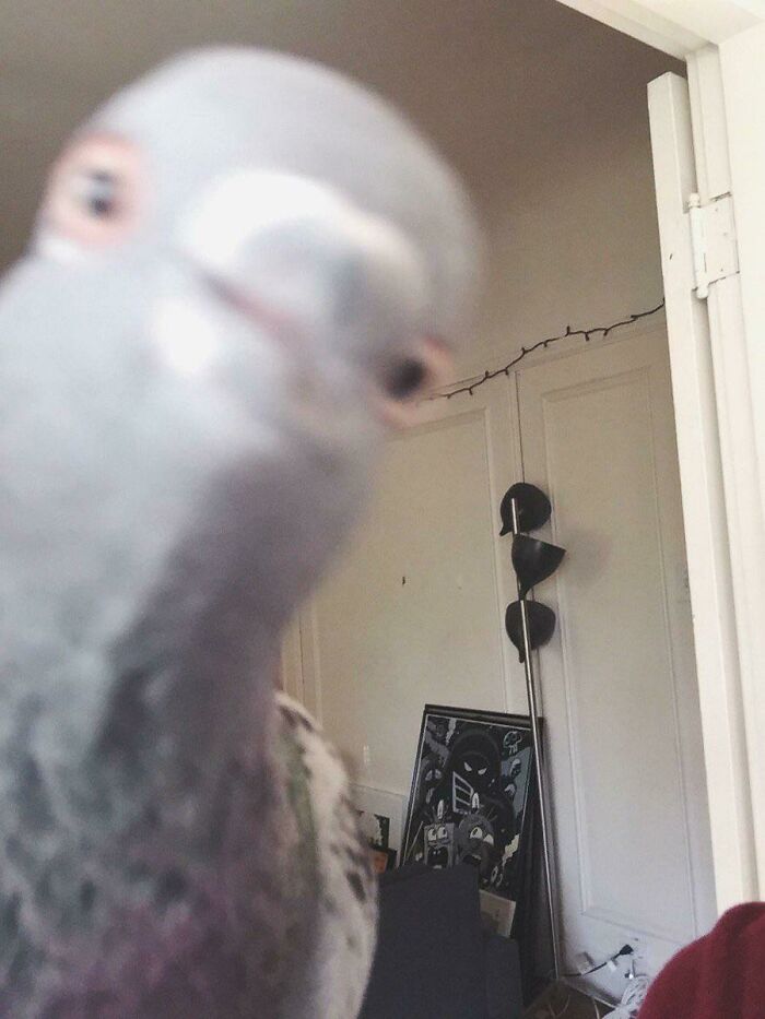 After Taking The Perfect Picture For His New Online Dating Profile, All Trevor Had Left To Do Was Add His Bio. “Hello All I Am, Retired Postal Service Worker ,, Proud Grandfather Of Three ! Searching For Compan,ion For Next Chapter Of My Life .... Regards ....”