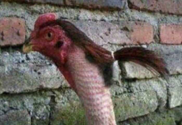 Walker Should’ve Known That 19 Was Too Young For Marriage. Now, He Works At The 7/11 Down The Street