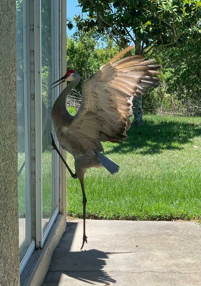 "Please Martha, I Just Want To See My Kids!"