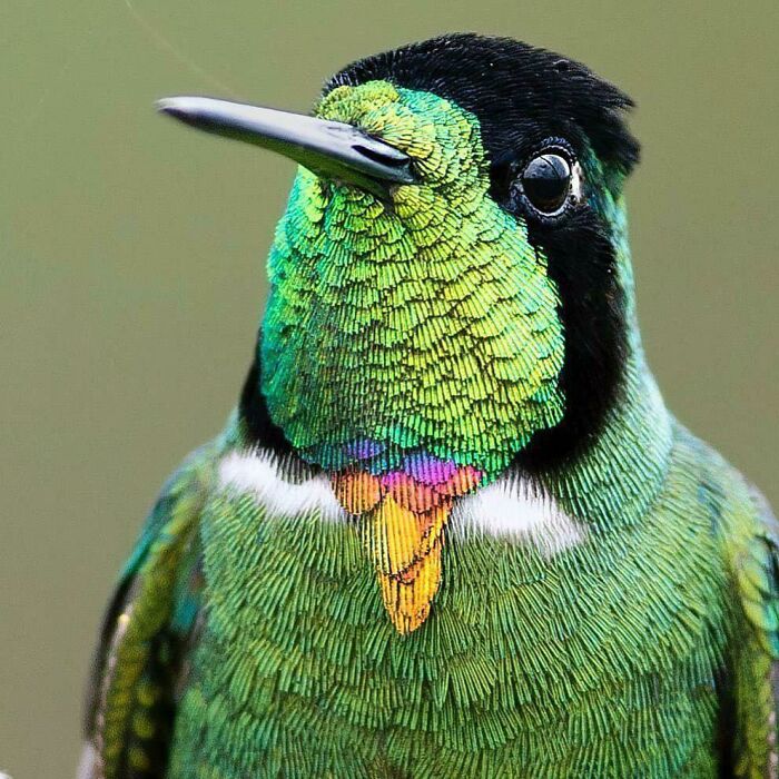 Humberto Was A Ladies’ Man. But After The Vicious And Drawn Out Legal Proceedings Matilda Dragged Him Through, He Thought He Was Done With Women. That Is, Until A Chance Encounter On The Tram LED To A Spontaneous Plan To Go To Flamenco Night. His Heart Swelled As He Donned His Old Tie: ”spicy.”
