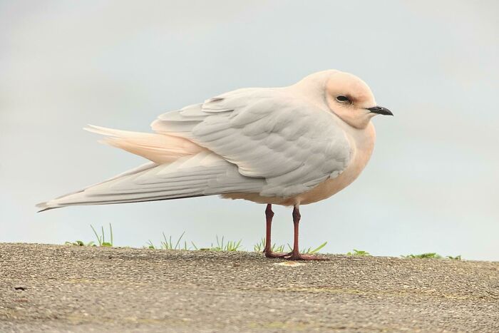 Her Divorce Gift To Herself Was Just A Touch Of Plastic Surgery....worth It