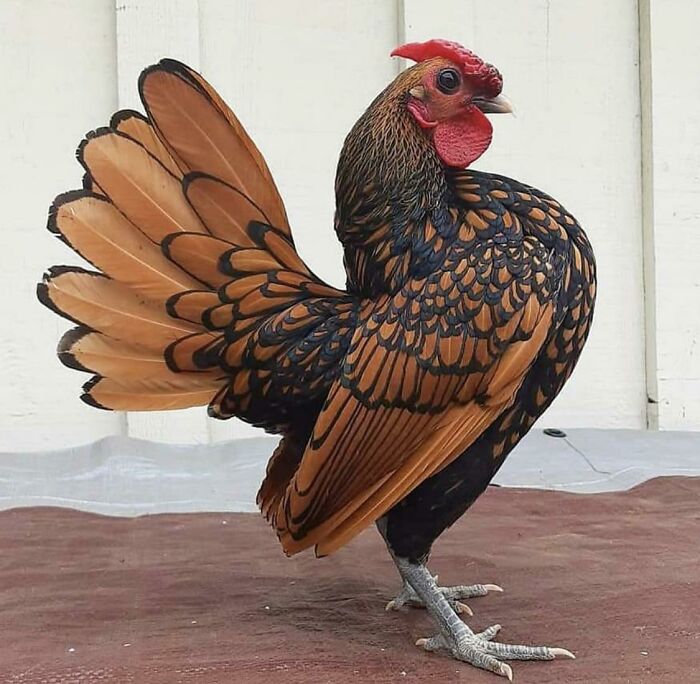 When Steven Cheated On Him, Fernando Was Heartbroken. Now, Years Later, Fernando Was A Famous Model And Ready To See His Pictures Spread Around The World. Steven Would Be Sorry