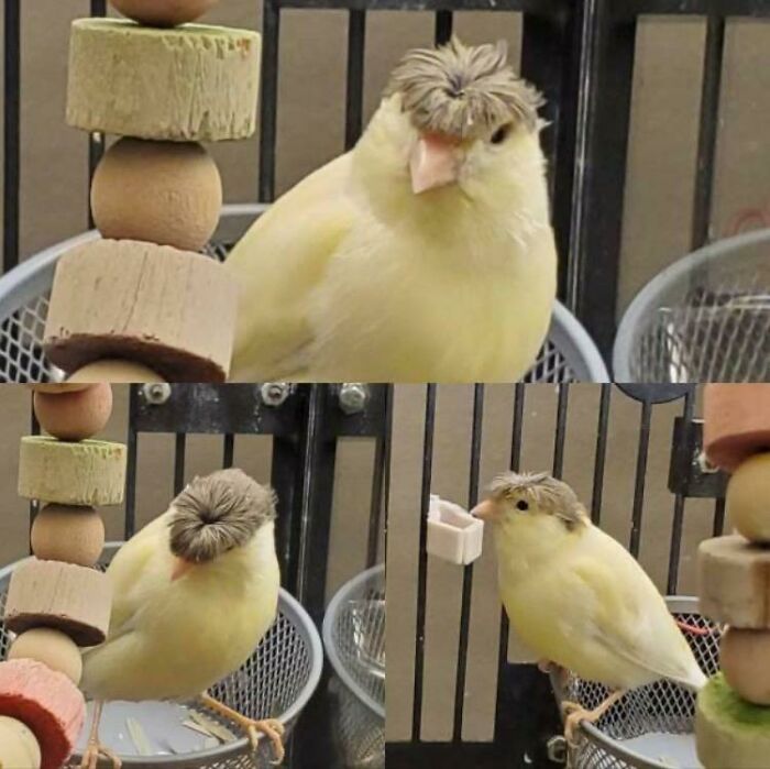 Dave, Recently Divorced, Is Ready For A Night On The Town. Is He Gunna Meet Some Chicks Later? Hoo Knows!