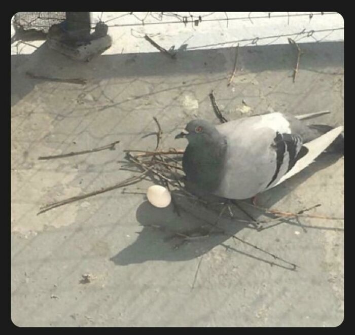 Tiffany Didn’t Know Which One Of Her Neighbors Called Child Protective Services, But In Her Heart She Knew They Weren’t Wrong