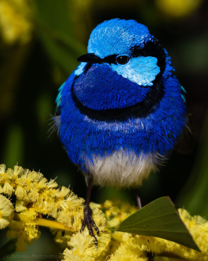 Even With All The Stress Eating Over Delayed Alimony Checks, Helen Still Fit Into Her Favorite Blue Dress And Went To Grab Herself Another Glass Of Wine
