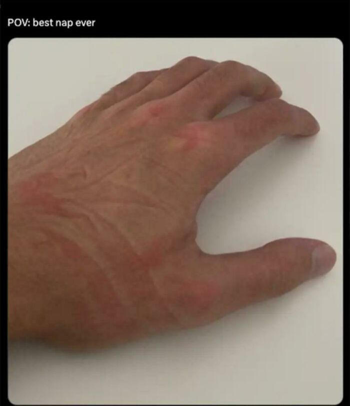 Things-Everyone-Does-Memes-Jokes